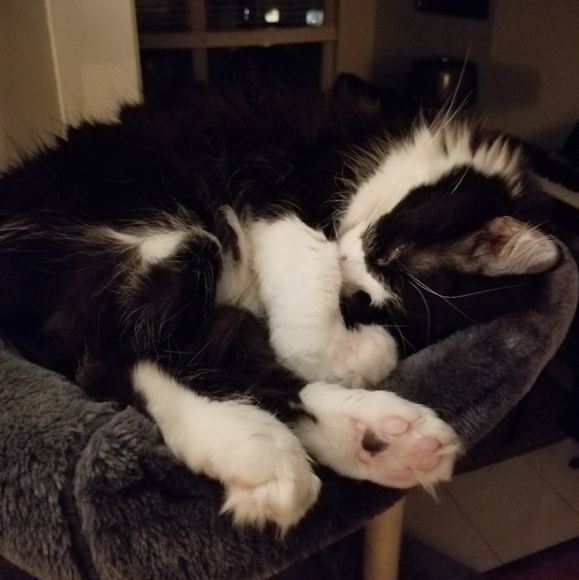 katsconsignment